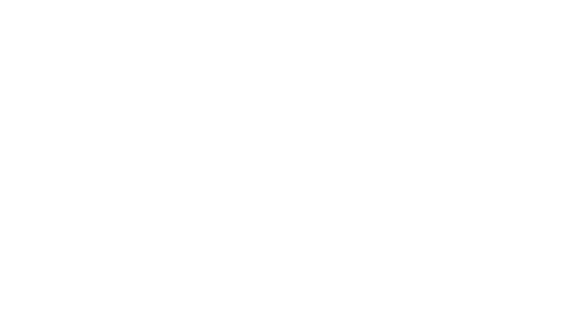Decisyon logo — Reverse — all white