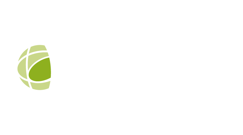 Decisyon logo — Reverse — white wordmark, color leaf